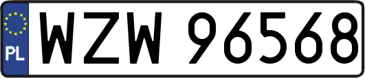 WZW96568