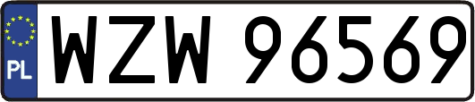 WZW96569