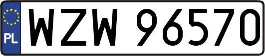 WZW96570