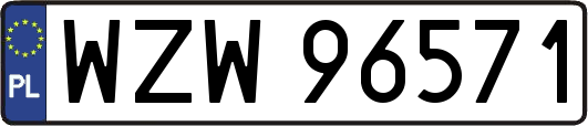 WZW96571