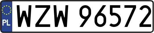 WZW96572
