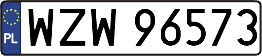 WZW96573