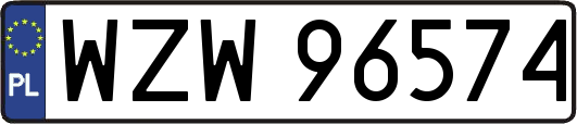 WZW96574