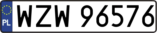 WZW96576