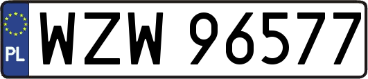 WZW96577