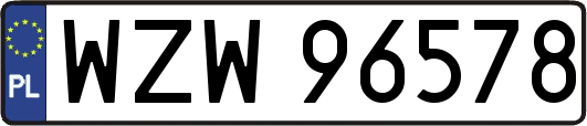 WZW96578