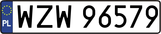WZW96579