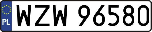WZW96580