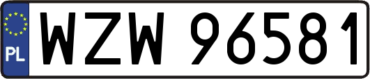 WZW96581