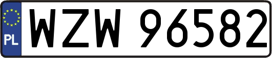 WZW96582