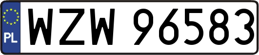 WZW96583