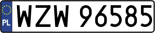 WZW96585