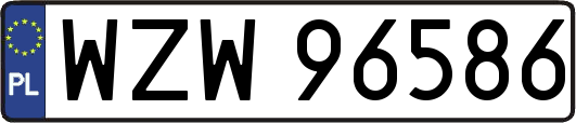 WZW96586