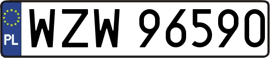 WZW96590