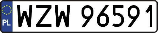 WZW96591