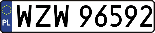 WZW96592