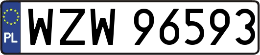 WZW96593