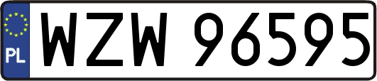 WZW96595
