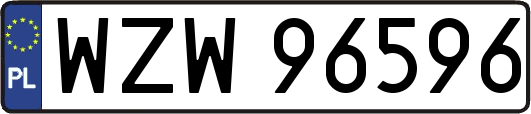 WZW96596