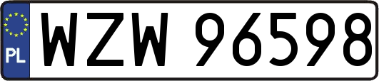WZW96598