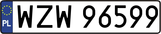 WZW96599