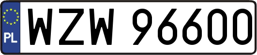 WZW96600