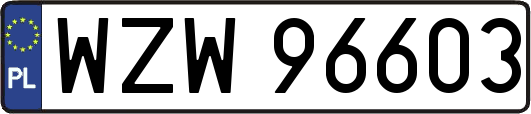 WZW96603