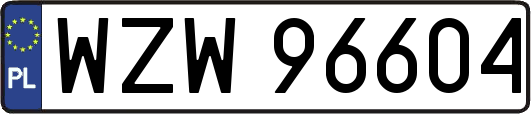 WZW96604