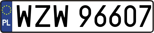 WZW96607