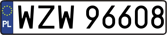 WZW96608