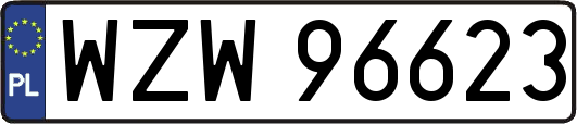 WZW96623