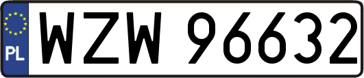WZW96632