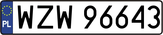 WZW96643