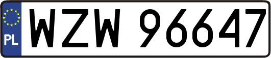WZW96647