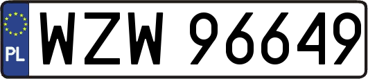 WZW96649