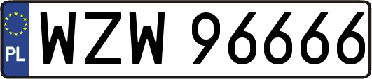 WZW96666