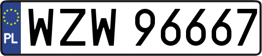 WZW96667