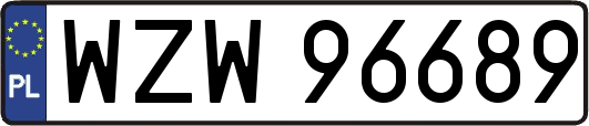 WZW96689