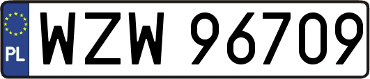 WZW96709