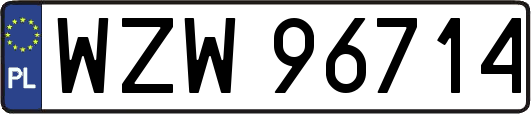WZW96714