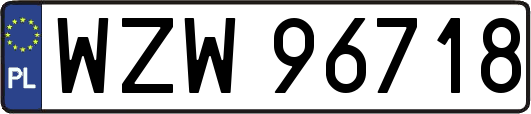 WZW96718