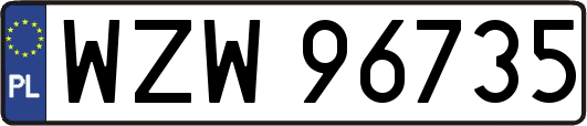 WZW96735