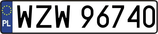 WZW96740