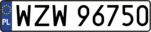 WZW96750