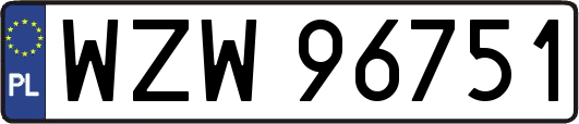 WZW96751