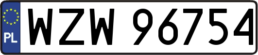 WZW96754