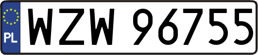 WZW96755