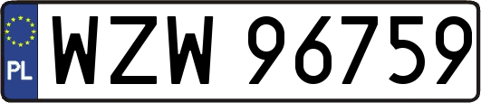 WZW96759