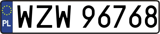 WZW96768