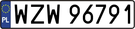 WZW96791